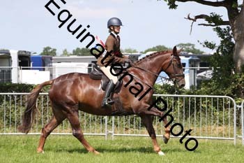MCD-1377