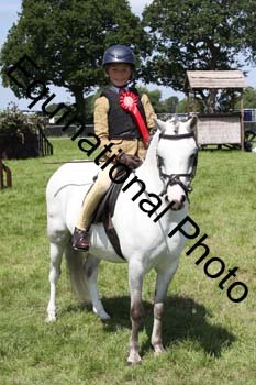 MCD-1461