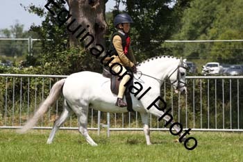 MCD-1467