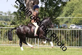 MCD-1470