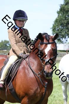 MCD-1572