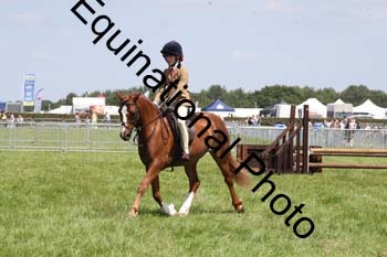 MCD-1581