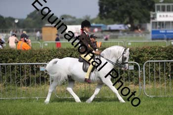 NFF-1007