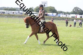 NFF-1208