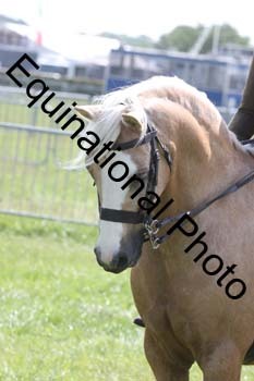 NFF-1287