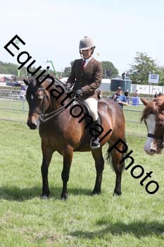 NFF-1942