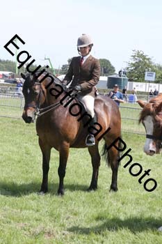 NFF-1943