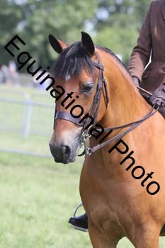 NFF-2279