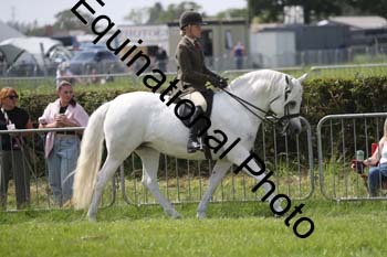 NFF-2378