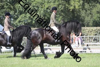 NFF-2543