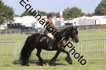 NFF-2672