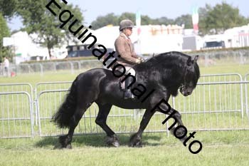 NFF-2683