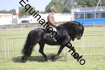 NFF-2684