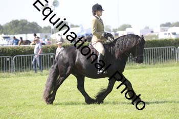 NFF-2770
