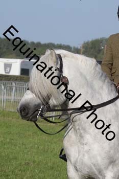 NFF-3071