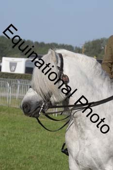 NFF-3072