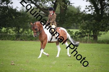 CQY-1099