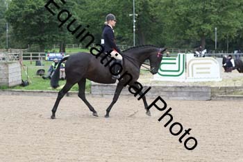 EIK-1035