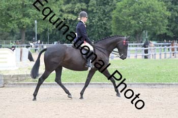 EIK-1036