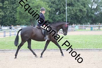EIK-1037