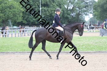 EIK-1038