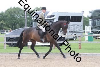 EIK-1041
