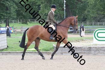 EIK-1046