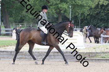 EIK-1064