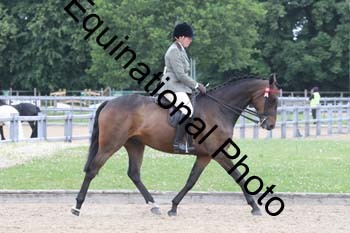EIK-1066