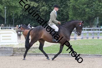 EIK-1069