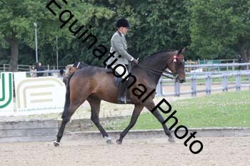 EIK-1088
