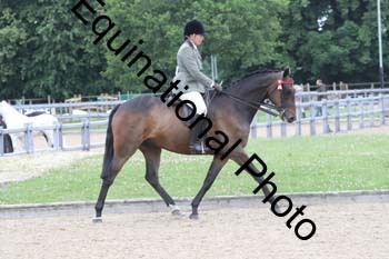 EIK-1089