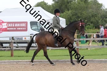 EIK-1091