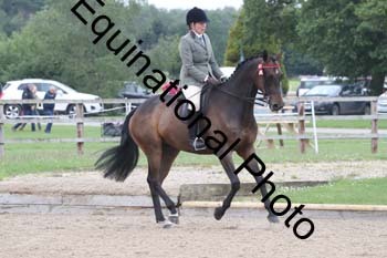 EIK-1099