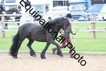 JUX-1071