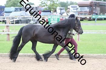 JUX-1073