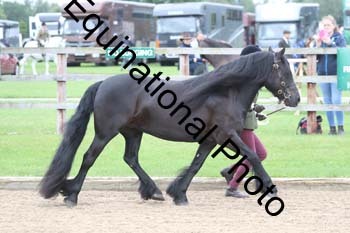 JUX-1074