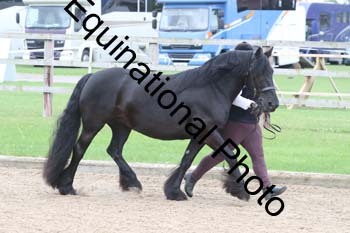 JUX-1078