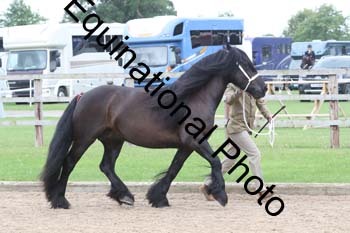 JUX-1089