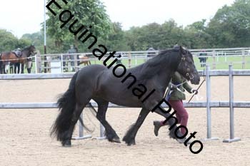 JUX-1146