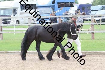 JUX-1164