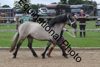 JUX-1173