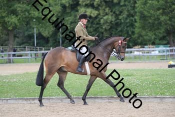 APX-1013