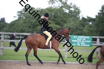 OOH-1096