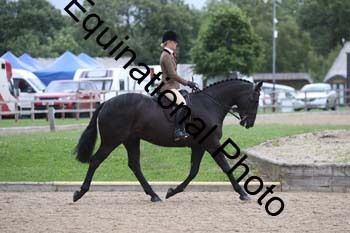 OOH-1307