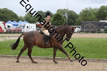 OOH-1338