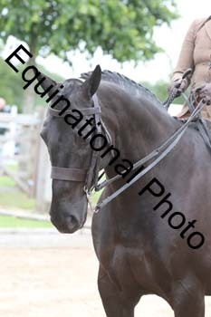 OOH-1434