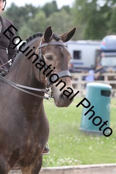 OOH-1485