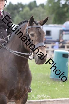 OOH-1486