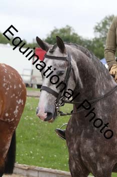 OOH-1491